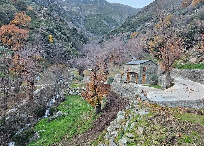 Tatil Evi Bergerie *